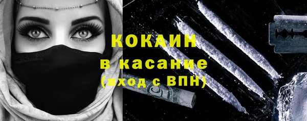индика Алексеевка