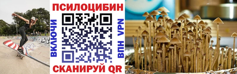 Псилоцибиновые грибы Psilocybine cubensis  как найти закладки  Кашин 